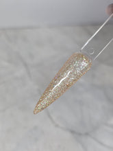 Load image into Gallery viewer, Champagne Sparkle
